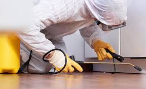 Emergency Pest Control Services in Euclid, OH